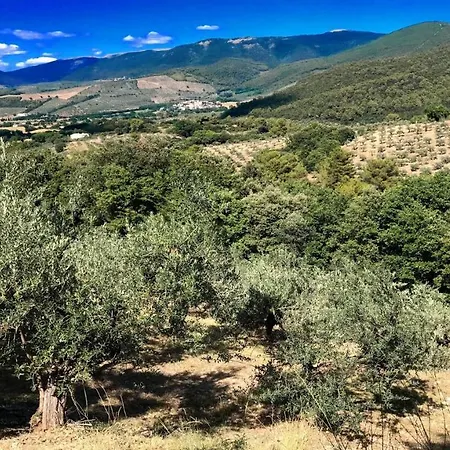 Vallocchia - Sleeps 18. Exclusive Pool/grounds. Spoleto 10 Mins. Rome 1 Hr *